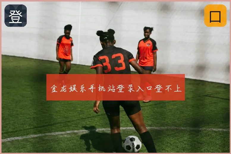金龙娱乐手机站登录入口登不上